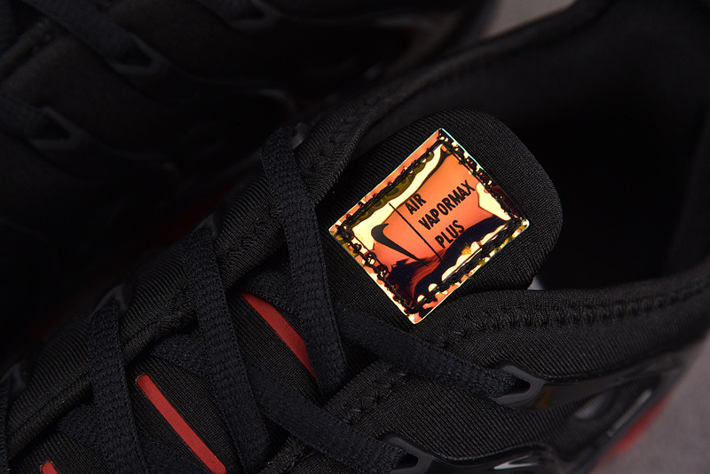 Nike Air VaporMax Plus Black CV1645-001