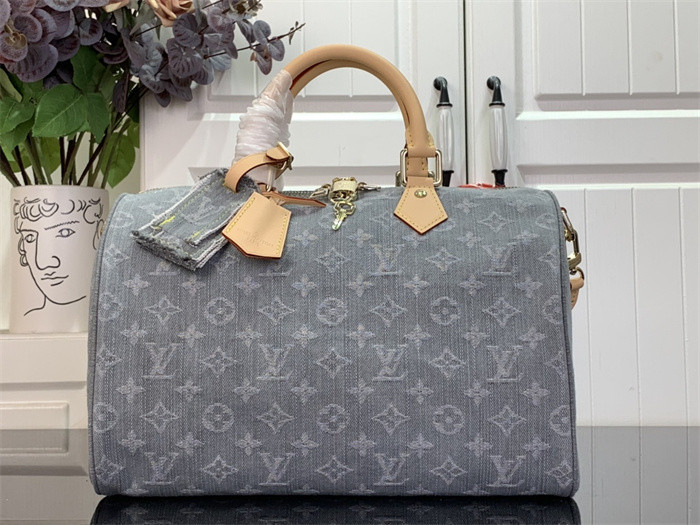 Louis Vuitton Speedy Soft 30